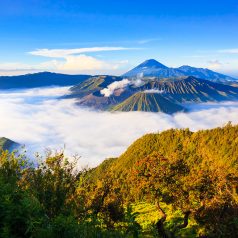 Bali reserve aux touristes un paysage aux charmes inepuisables