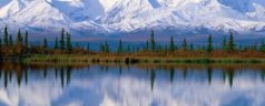 Alaska, l’appel du froid…