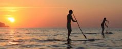 stand-up-paddle