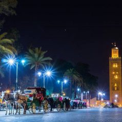 Partez à la redécouverte de la perle du sud « Marrakech»