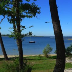 Les Landes, les vacances au naturel