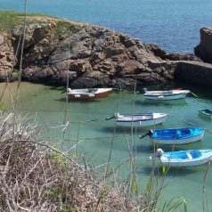 Tout voir à Vendée