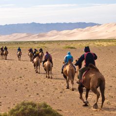 Équitation et excursion : le meilleur de la Mongolie !