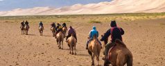 Équitation et excursion : le meilleur de la Mongolie !