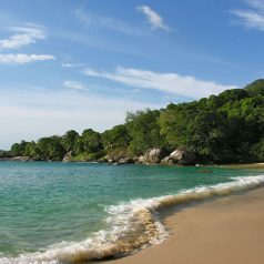 Passer un séjour de rêve aux Seychelles au cœur de ses plus belles plages