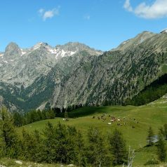 Séjour en famille à la découverte du parc national du Mercantour