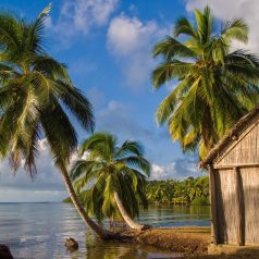 Madagascar : un pays très riche en ressources naturelles