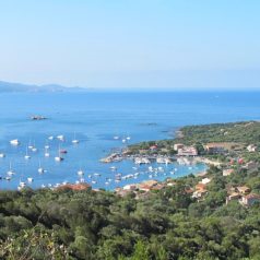 Un séjour inoubliable à Porto Pollo en Corse du Sud