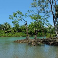 5 lieux incontournables à voir lors d’un séjour au Costa Rica