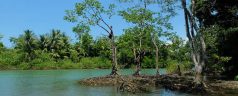 Corcovado National Park