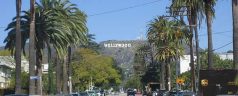 Hollywood_neighborhood