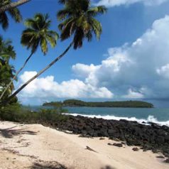 Visite aisée de la Guyane à bord d’une voiture de location