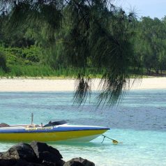 Séjour à l’île Maurice : top 3 des activités à ne pas manquer de faire