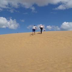 Voyage au Venezuela : les plus beaux endroits à visiter