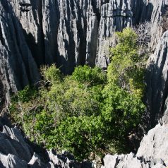 Pourquoi faire appel à un guide touristique ?