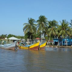 Premier séjour au Suriname : les choses à voir sans délai