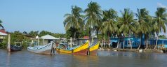 Premier séjour au Suriname : les choses à voir sans délai