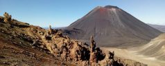 Partir à la découverte des paysages de la Nouvelle-Zélande