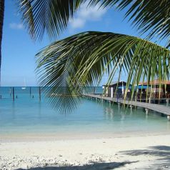 Vacances ensoleillées : découvrir les charmes d’Aruba