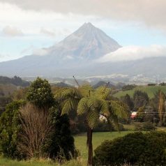 Séjour en Nouvelle-Zélande : quels sites naturels visiter ?