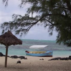 Vacances balnéaires à l’île Maurice : passer par la fameuse île aux Cerfs