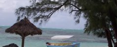 Vacances balnéaires à l’île Maurice : passer par la fameuse île aux Cerfs