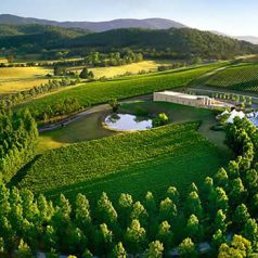 Voyage œnologique en Australie : du bon vin et des régions fascinantes