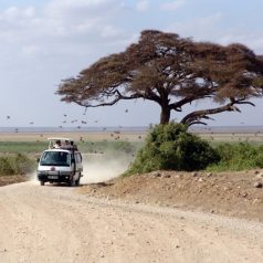 Road trip en Namibie : comment le préparer ?