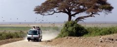 Road trip en Namibie : comment le préparer ?