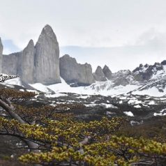 Découvrir la Patagonie : les endroits à ne pas rater