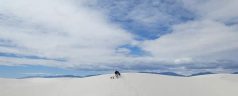 white sands