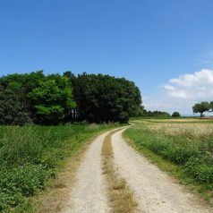 Les spécialités culinaires à découvrir dans le Lot-et-Garonne