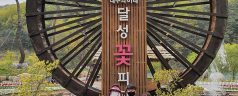 Que faire à Daegu en Corée du Sud ?  
