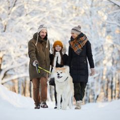 Vacances d’hiver: les meilleures destinations où emmener son chien