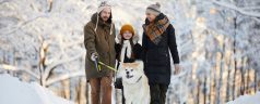 Vacances d’hiver: les meilleures destinations où emmener son chien