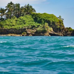 Visiter le Panama lors d’un voyage : 2 excellentes raisons de se lancer