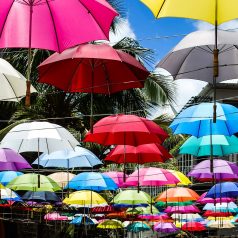 Voyage culturel à l’île Maurice : les expériences à prévoir