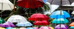 umbrellas-g12473b848_1280