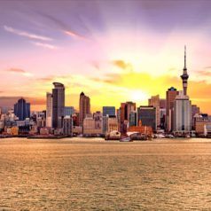 Les activités incontournables à faire à Auckland, en Nouvelle-Zélande