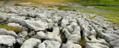 Spectacular,Landscape,Of,The,Burren,Region,Of,County,Clare,,Ireland.