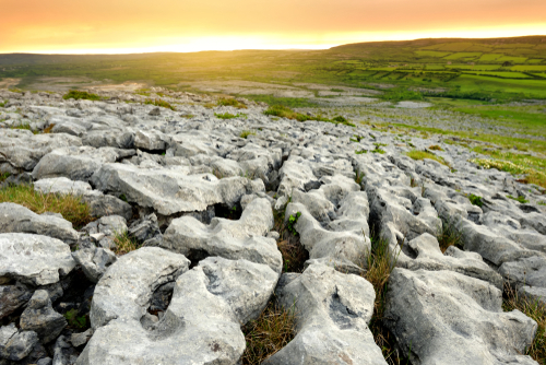 burren