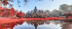 Bayon,Castle,,Cambodia.,With,Red,Leaf,Tree