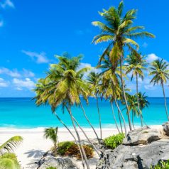 Visiter la Barbade dans les Caraïbes : ce qu’il y a à savoir