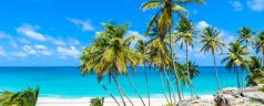 Bottom,Bay,,Barbados,-,Paradise,Beach,On,The,Caribbean,Island