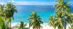 Que faire à Grand Bahama lors d’un séjour aux Bahamas ?