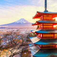 5 activités à faire lors d’un séjour au Japon