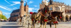 Horse,Carriages,At,Main,Square,In,Krakow,In,A,Summer