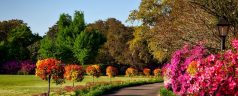 Top 3 des plus beaux jardins botaniques à visiter à travers le monde