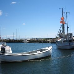 Partir en vacances au Danemark : visiter la remarquable île de Samsø