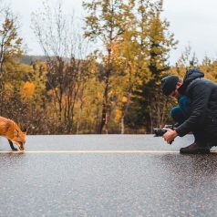 Comment et pourquoi passer un week-end photo ?